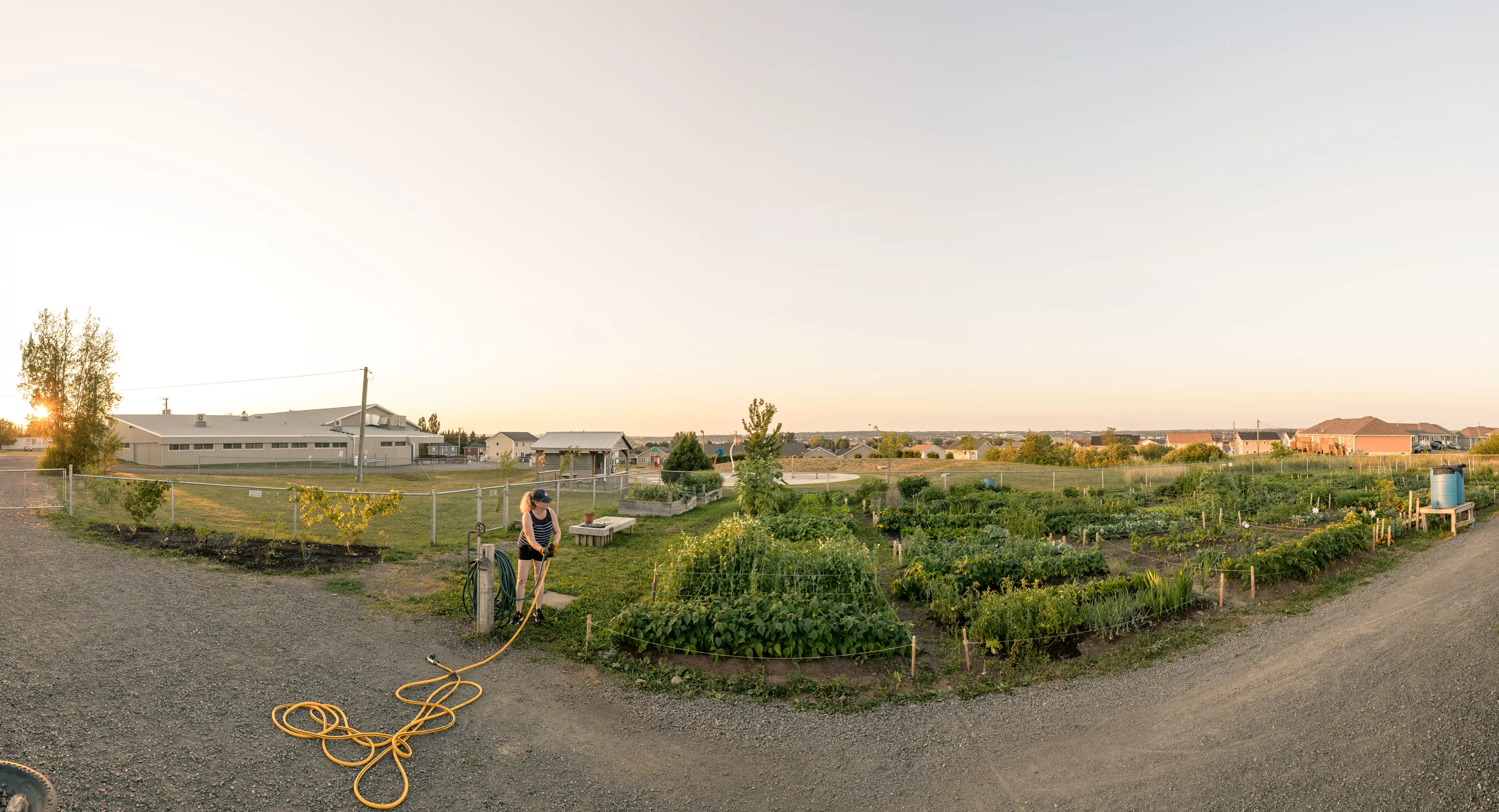 Panoramic view of a building and community garden next to it