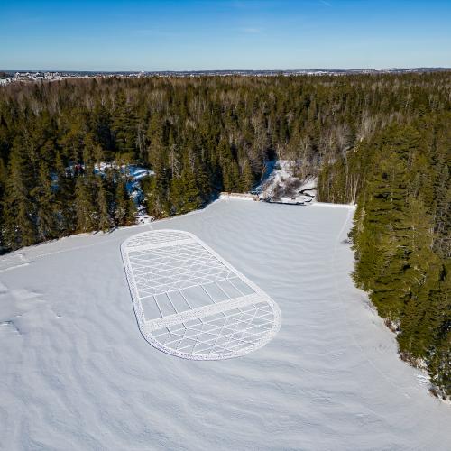 A snowshoe design imprinted on the snow covering a frozen lake