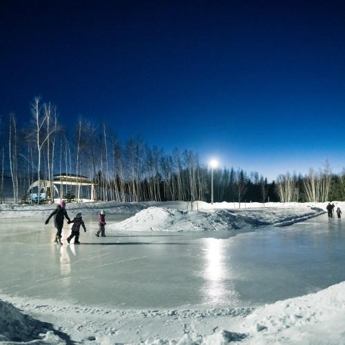 Two families skate on the skating oval 