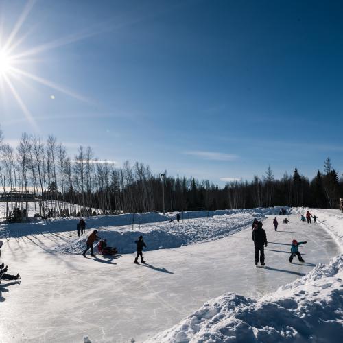 People skating on an outdoor skating oval on a sunny blue sky day 