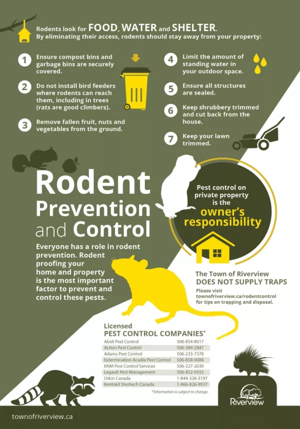 Rodent Prevention and Control Infographic