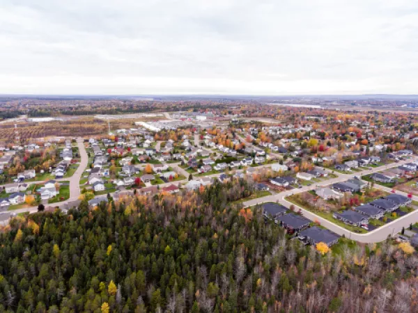 Aerial view of Riverview neighbourhood with trees
