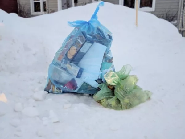 Blue and green garbage bags on snowbank