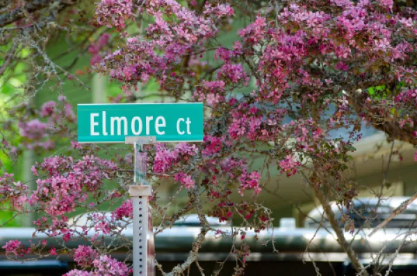 A street sign with pruple flowers around it