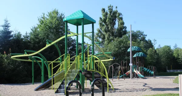 A green and yellow jungle gym