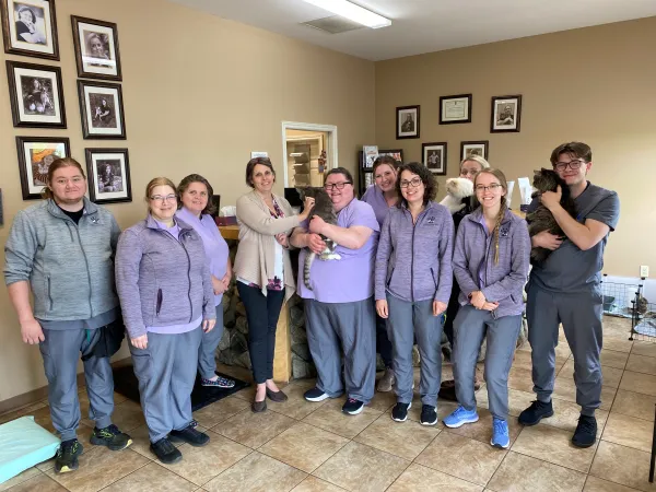 Vet office staff standing together in purple scrubs