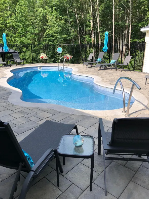 Backyard with an inground pool.