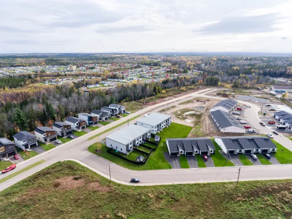 Aerial shot of neighbourhood showing diverse housing types