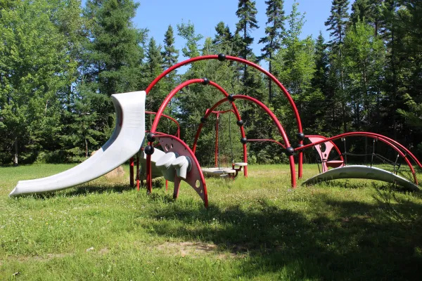 A playground surrounded by trees and blue sky