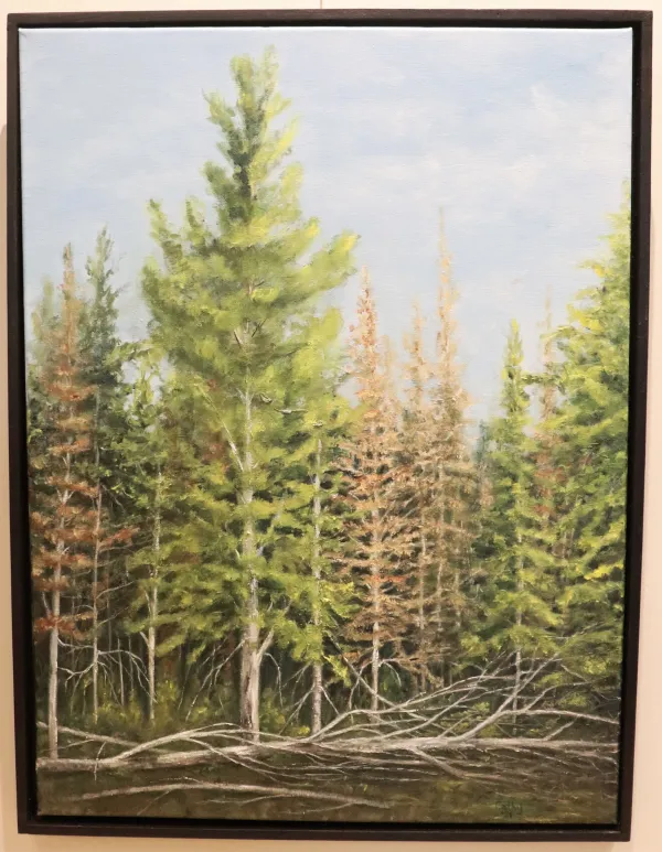 Oil painting of the Mill Creek forest 