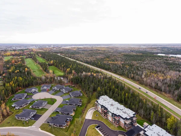 aerial view of riverview neighbourhood and forest