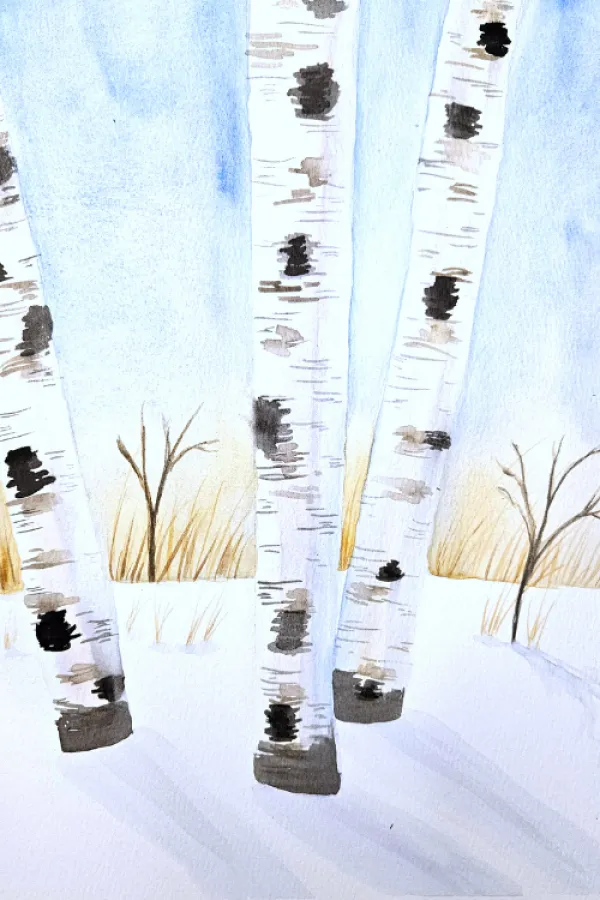 Watercolour painting with birch trees.