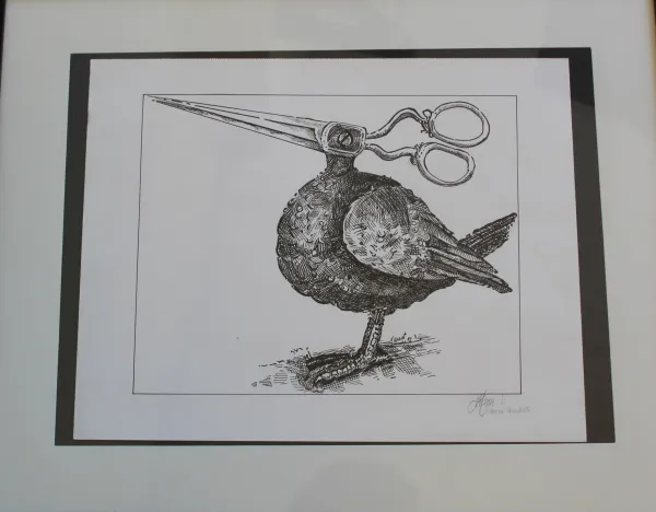 Ink drawing of a bird with scissors for a head