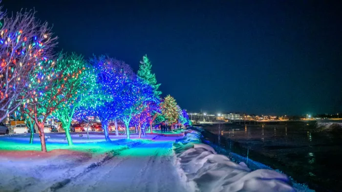 Riverfront Trail at night, softly illuminated by the trees set with multicoloured lights.