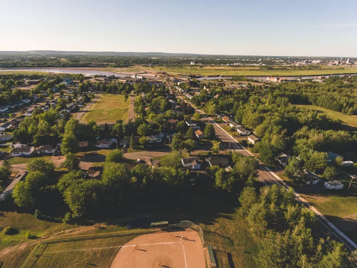 aerial view of a treed neighbourhood in golden sunlight