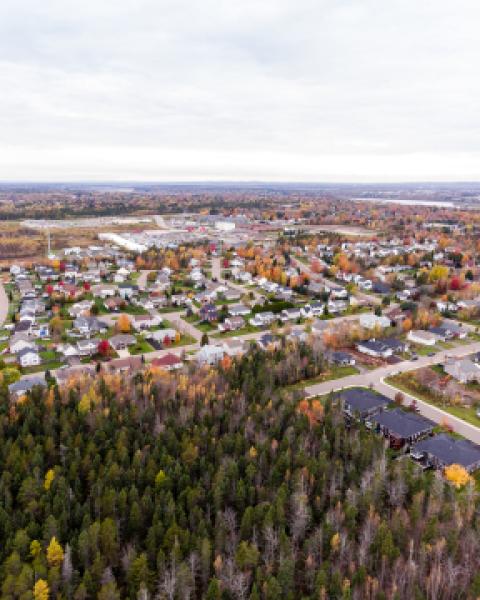 Aerial view of Riverview neighbourhood with trees