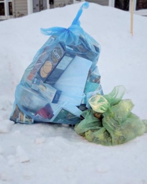 Blue and green garbage bags on snowbank