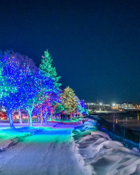 Riverfront Trail at night, softly illuminated by the trees set with multicoloured lights.