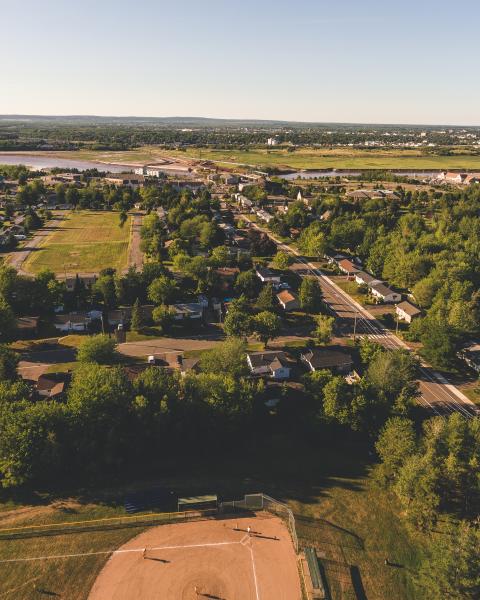 aerial view of a treed neighbourhood in golden sunlight