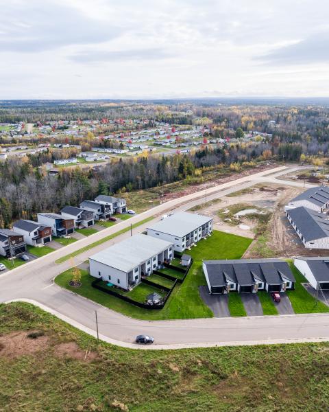 Aerial shot of neighbourhood showing diverse housing types