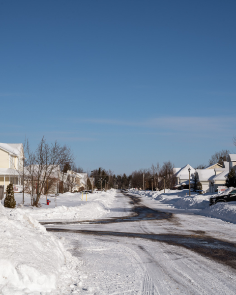 A snowy neighbourhood street