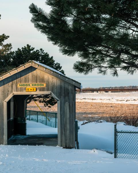 Higgs Brook bridge in winter