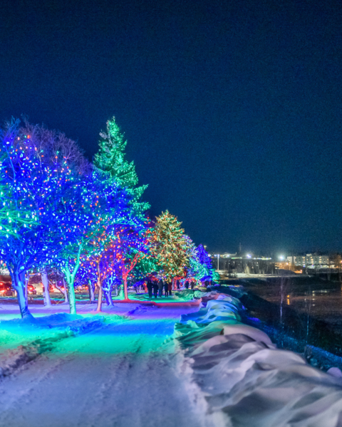 Holiday lights glisten on trees bordering the Riverfront Trail