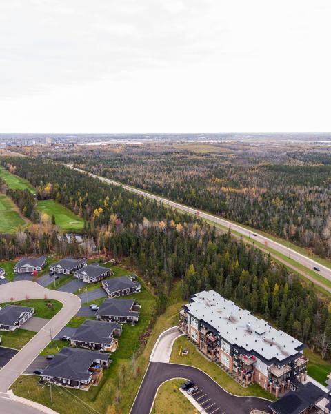 aerial view of riverview neighbourhood and forest