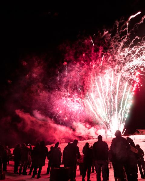 People watching fireworks at Winter Wonderland Park